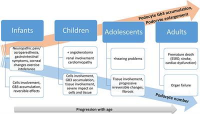 Clinical Characteristics, Renal Involvement, and Therapeutic Options of Pediatric Patients With Fabry Disease